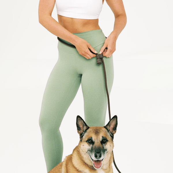 Cocoa Brown Hands Free Dog Lead