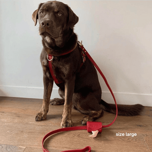 labrador x wears the large harness set