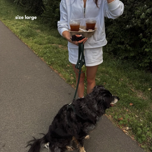 size large on a shaggy black and grey dog