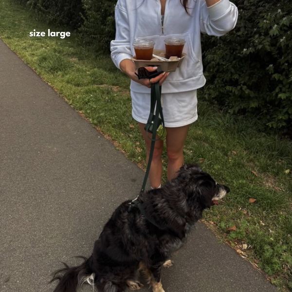 size large on a shaggy black and grey dog