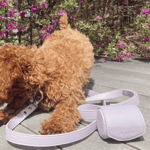 the poop bag dispenser with a toy poodle