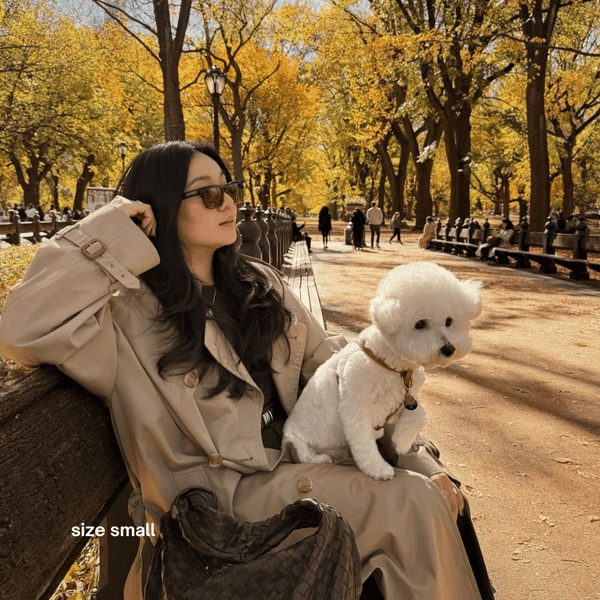 a maltese in central park wearing the small brown harness