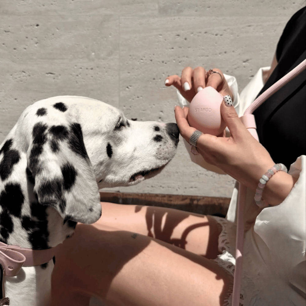 Silicone Dog Treat Pouch in Pink