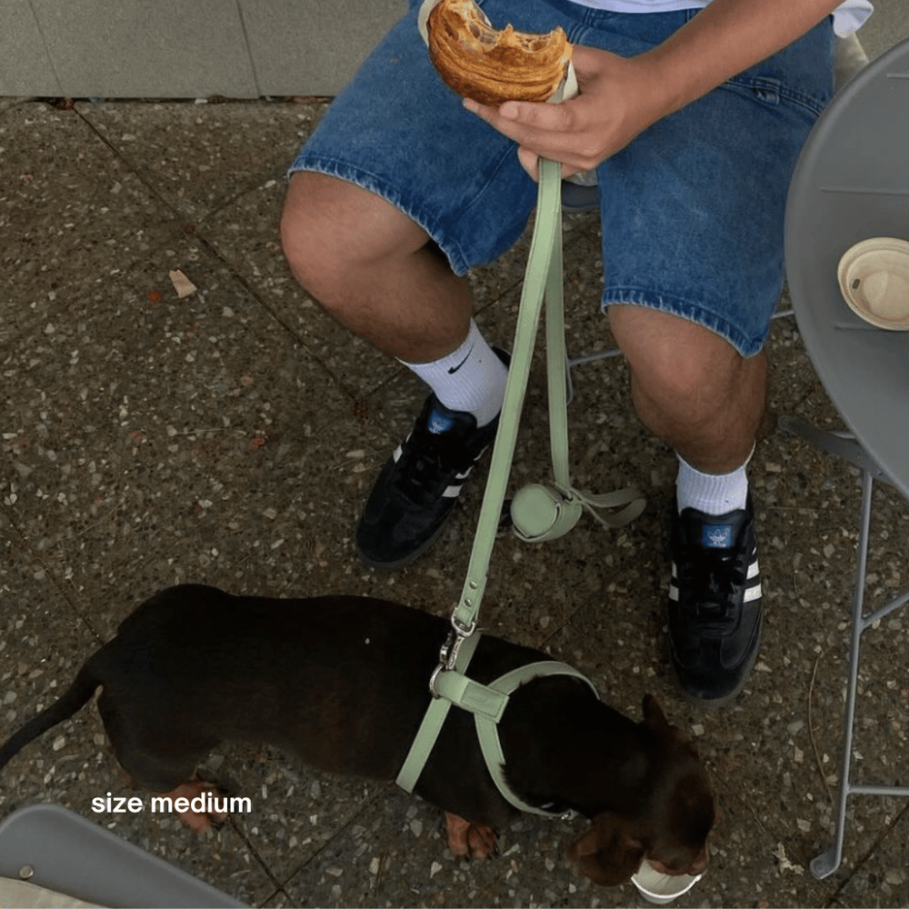 ST ARGO Sage Green vegan leather harness dog walk set kit. Waste bag dispenser, luxury dog harness and dog leash included.