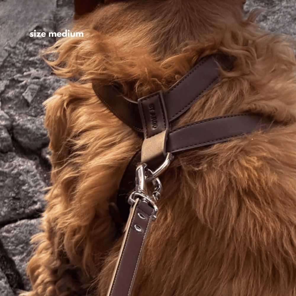 Cocoa Brown dog harness on a white background
