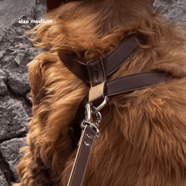 A close-up of a dog wearing a dark brown leather harness with a matching leash. The dog has fluffy golden-brown fur, and the harness is shown on its back over a gray stone surface.