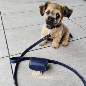 Navy collar walk set on small terrier puppy. Collar set includes: dog collar, dog leash and doggie poop bag holder