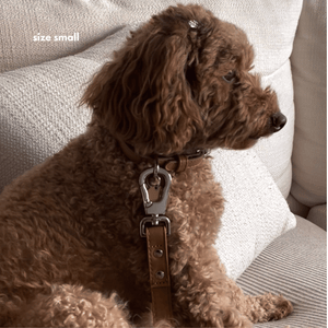 COLLAR WALK SET - Caramel