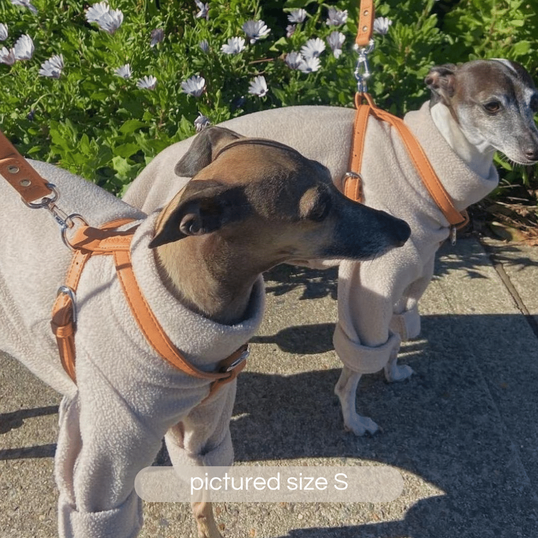ST ARGO peach dog harness in size medium on two matching italian greyhounds.