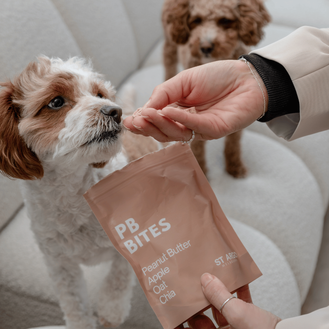 peanut butter dog treats