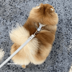 the harness in taupe on a pomeranian