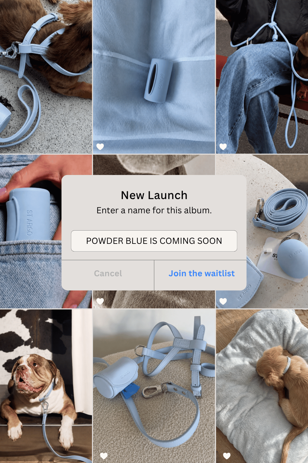 A collage of product photos showing a light powder-blue pet harness and matching accessories in use with dogs and on a person. A large centered overlay reads 'New Launch' and 'Enter a name for this album.