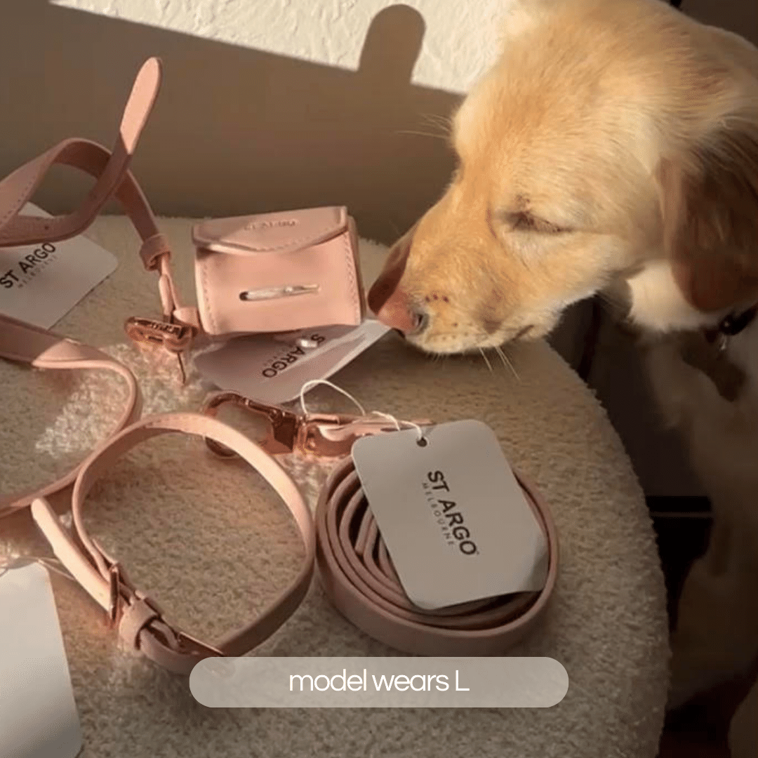 pale pink collar walk set. Collar set includes: dog collar, dog leash and doggie poop bag holder