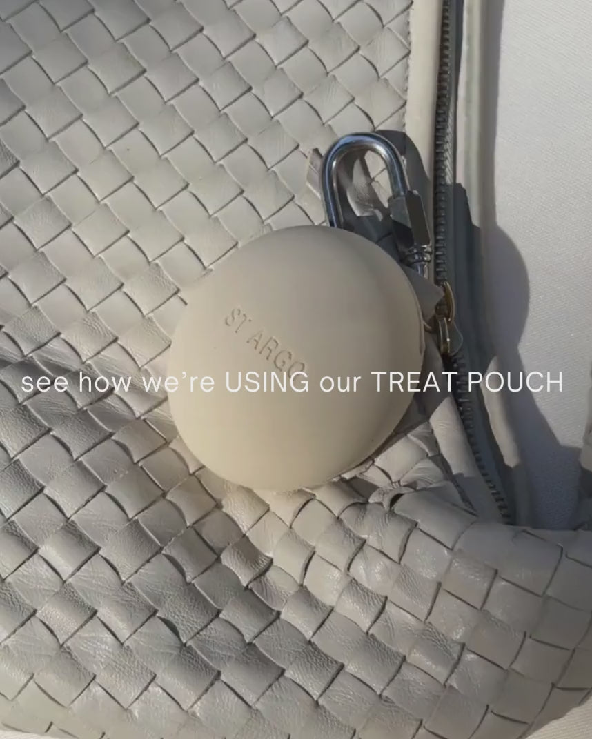 Treat Pouch