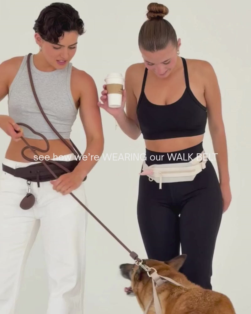 Walk Belt Video