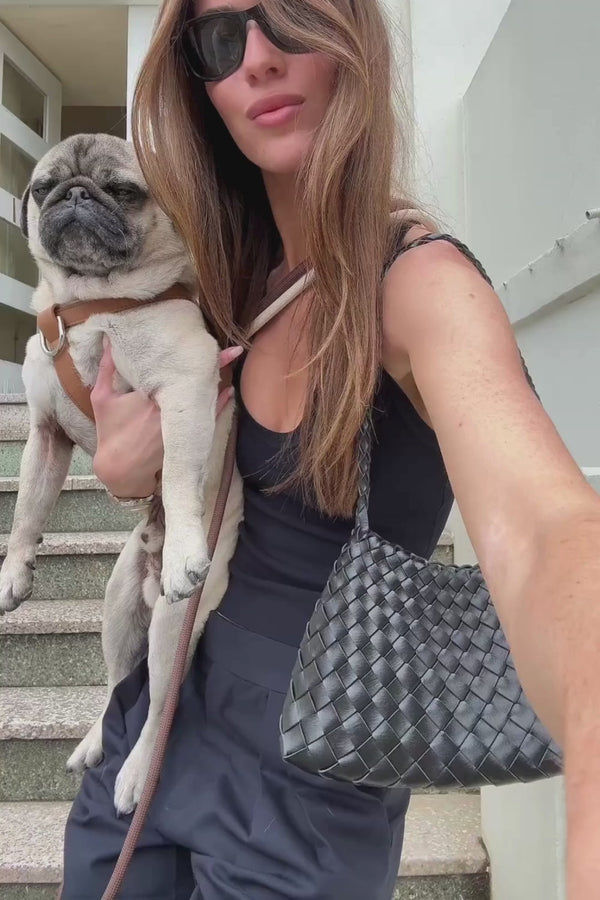 get ready for a dog walk