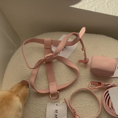 marshmallow dog harness on golden retriever 