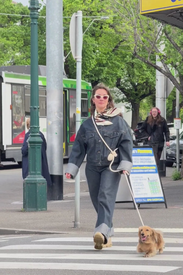 cream hands free lead dog walk