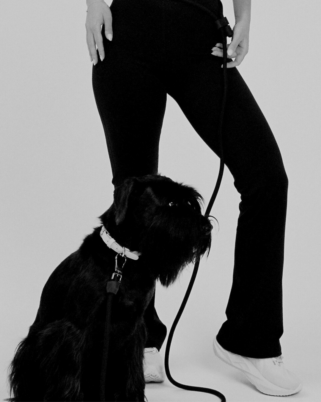 Person holding a dog on a leash against a plain background