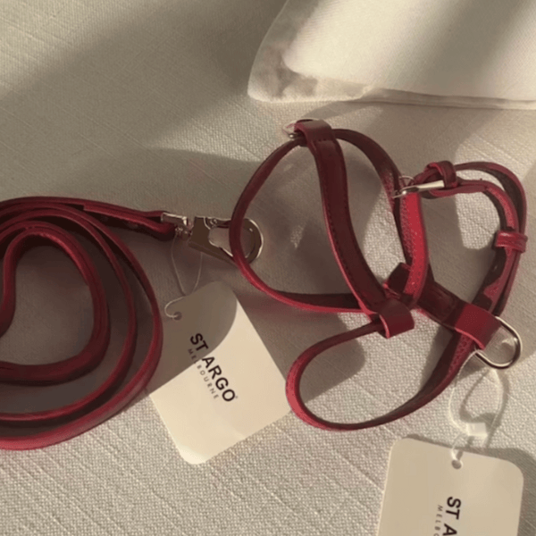 the ruby red harness and leash 