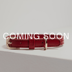 Red leather dog collar with gold buckle on a light gray background, 'COMING SOON' text overlay.