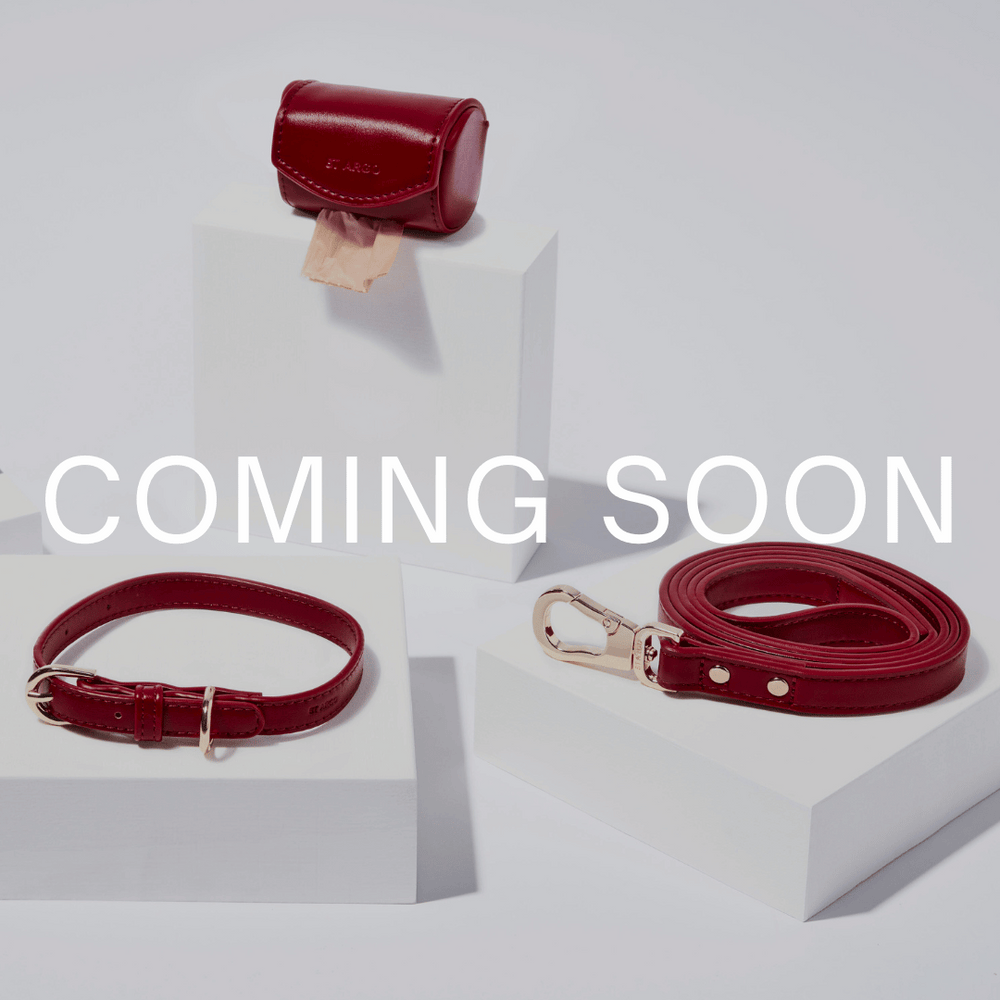 Red pet collar, leash, and pouch with 'COMING SOON' text on a white background