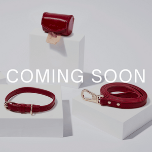 Red pet collar, leash, and pouch with 'COMING SOON' text on a white background