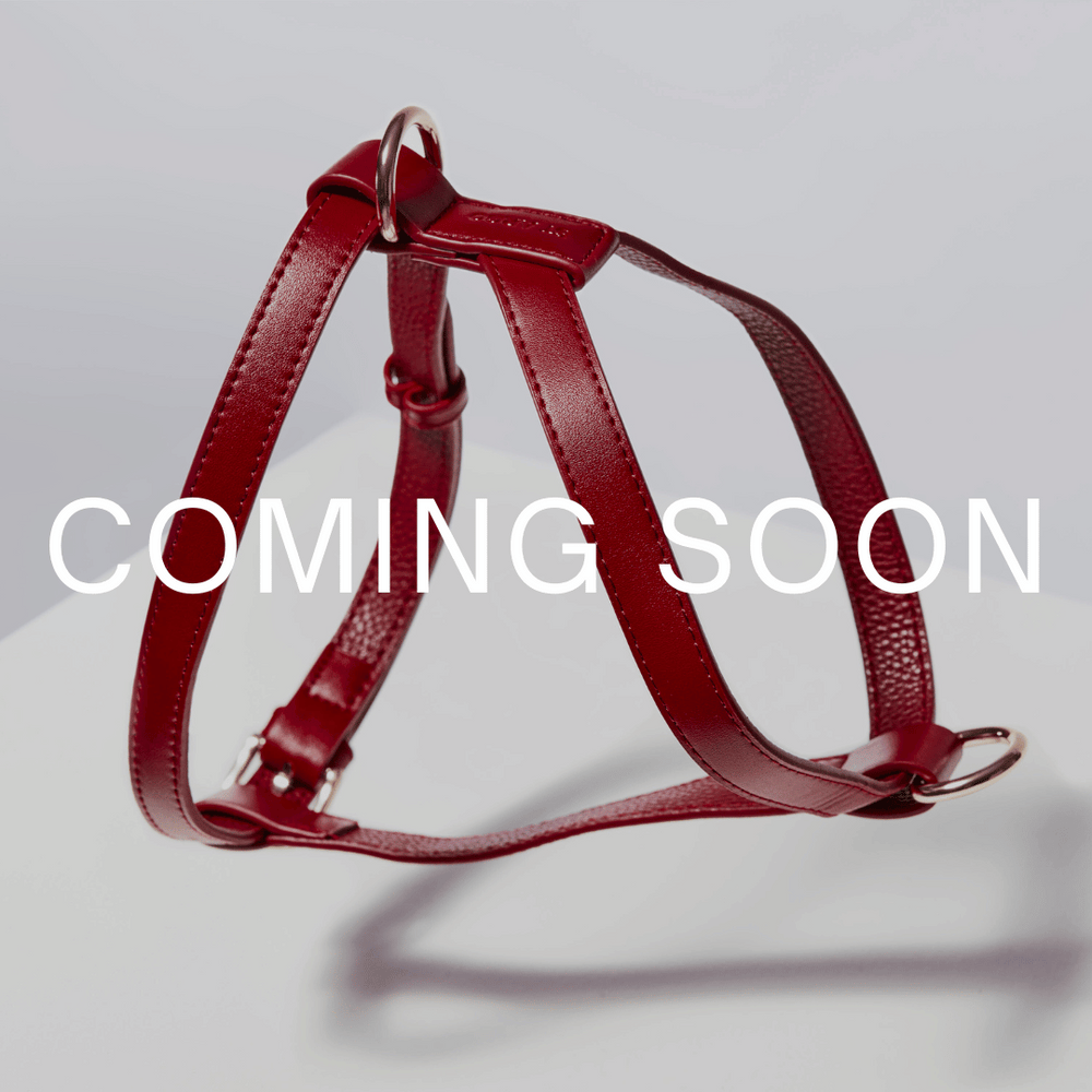 Red leather dog harness with 'COMING SOON' text on a light gray background