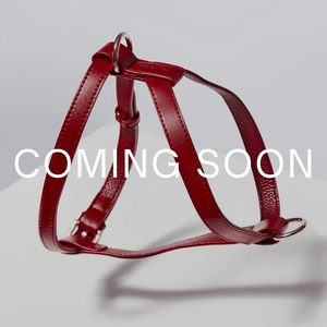 Red leather dog harness with 'COMING SOON' text on a light gray background