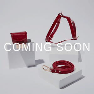 Red leather products including a wallet and two straps on a white background with 'COMING SOON' text.