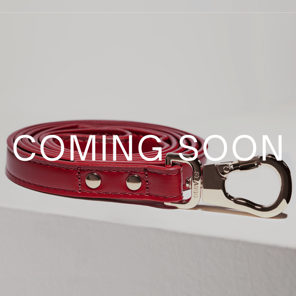 Red dog leash with silver clasp on a light gray background, 'COMING SOON' text overlay.