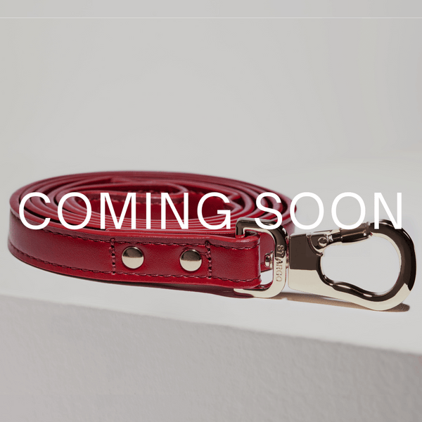 Red dog leash with silver clasp on a light gray background, 'COMING SOON' text overlay.