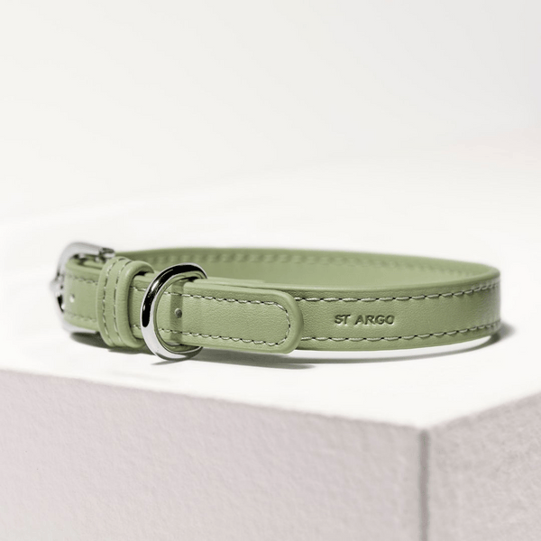 sage green dog collar side view