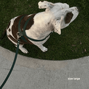 large dog harness in green