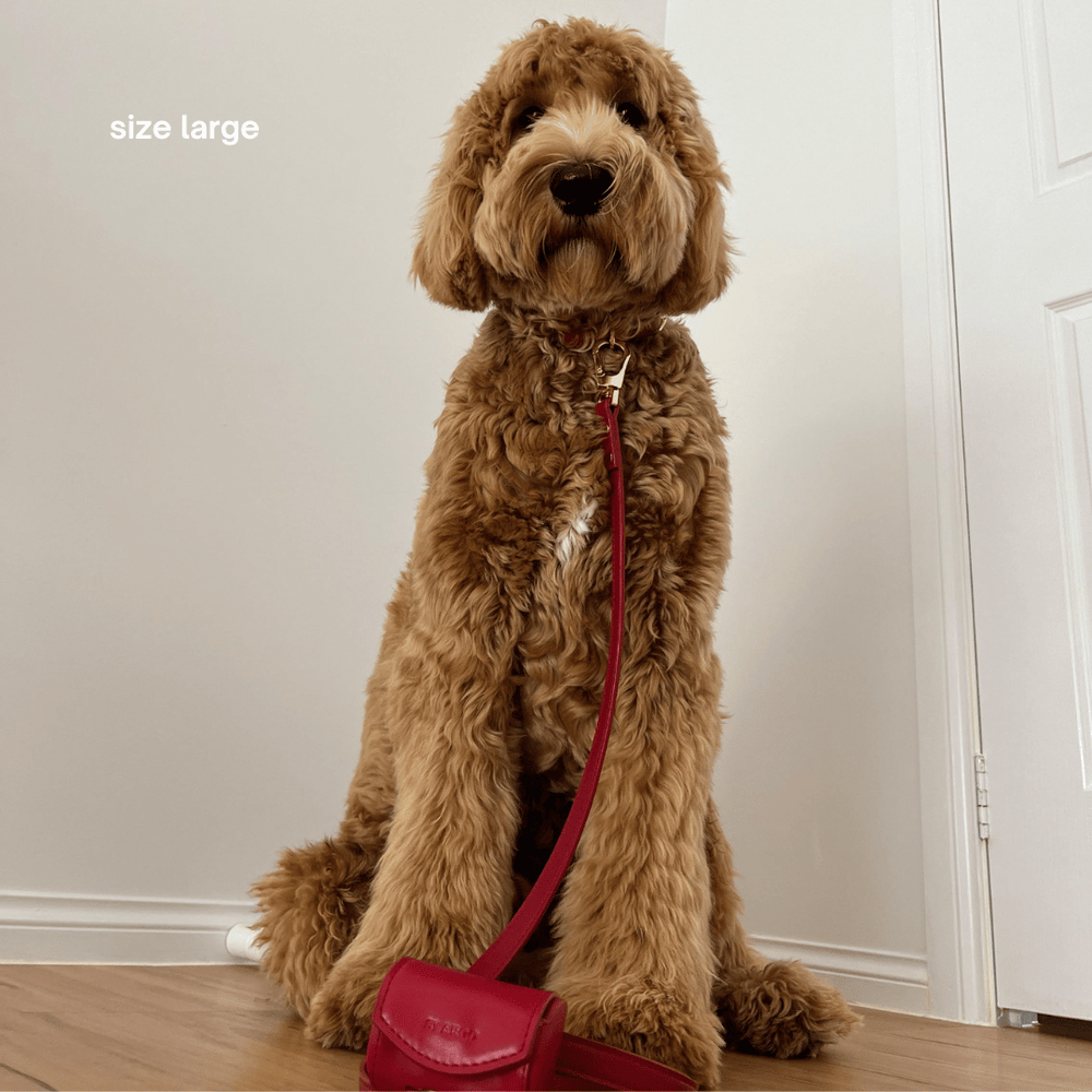 ST ARGO vegan leather dark ruby red dog collar walk set with leash lead and poop bag dispenser.