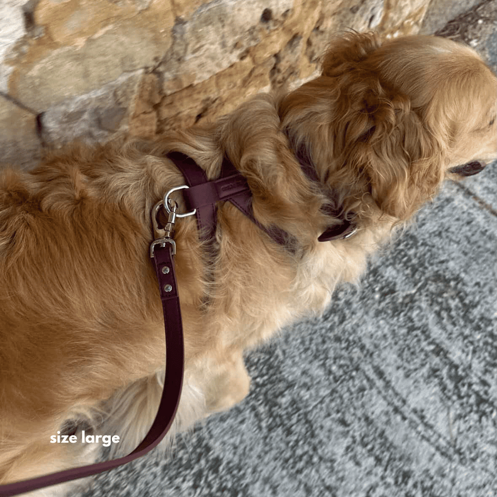Burgundy leather dog harness and leash set on a white background