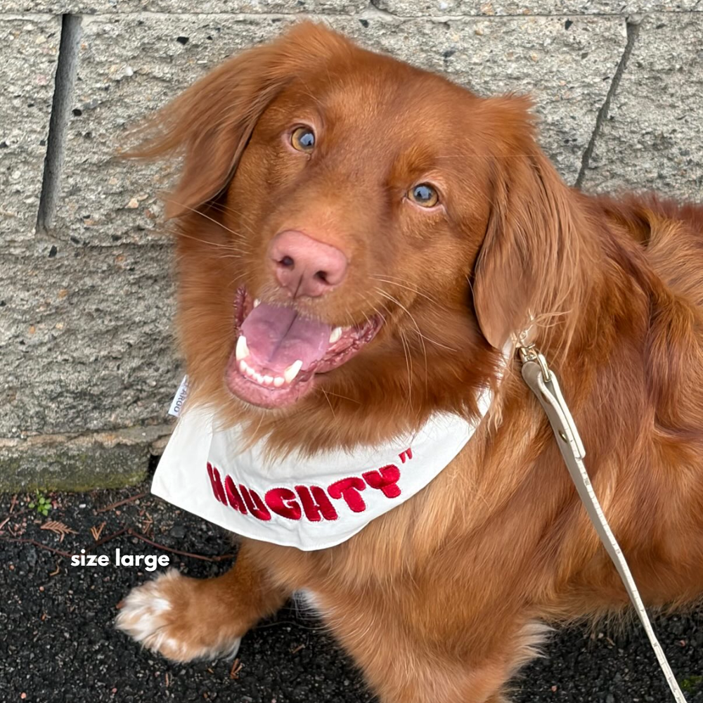 Dog Christmas Bandana Reversible