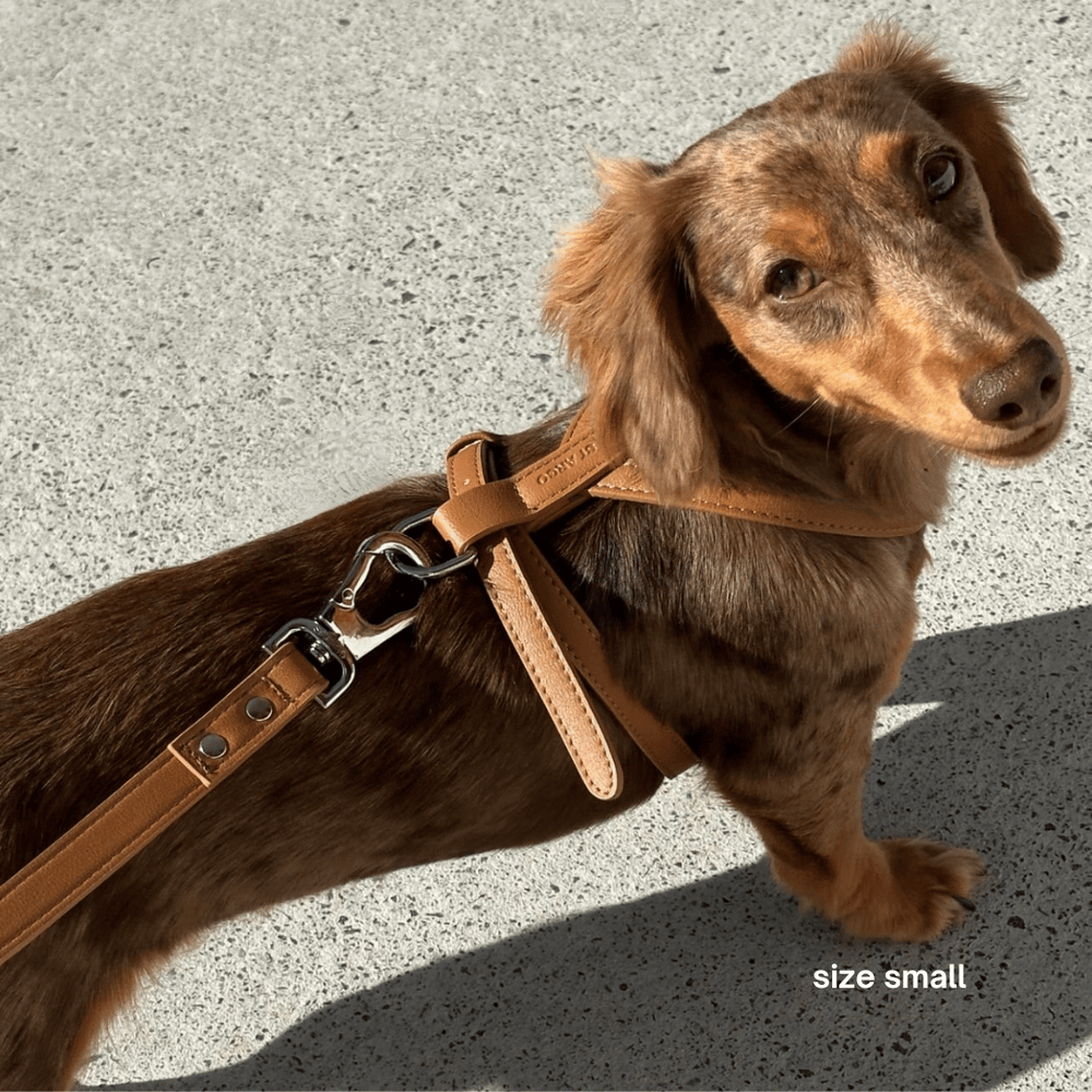 ST ARGO buttery brown dog harness in vegan leather