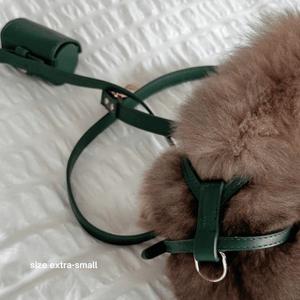 the small harness walk set in bottle green