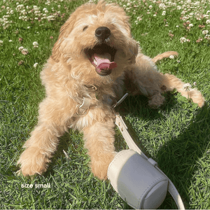 the taupe harness walk set on a smiling puppy