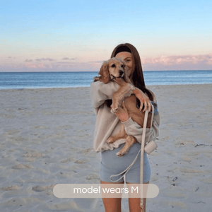 cocker spaniel on beach in the taupe set