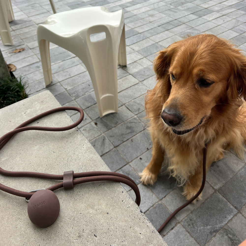 Dog Treat Pouch in Brown