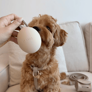TREAT POUCH - Cream