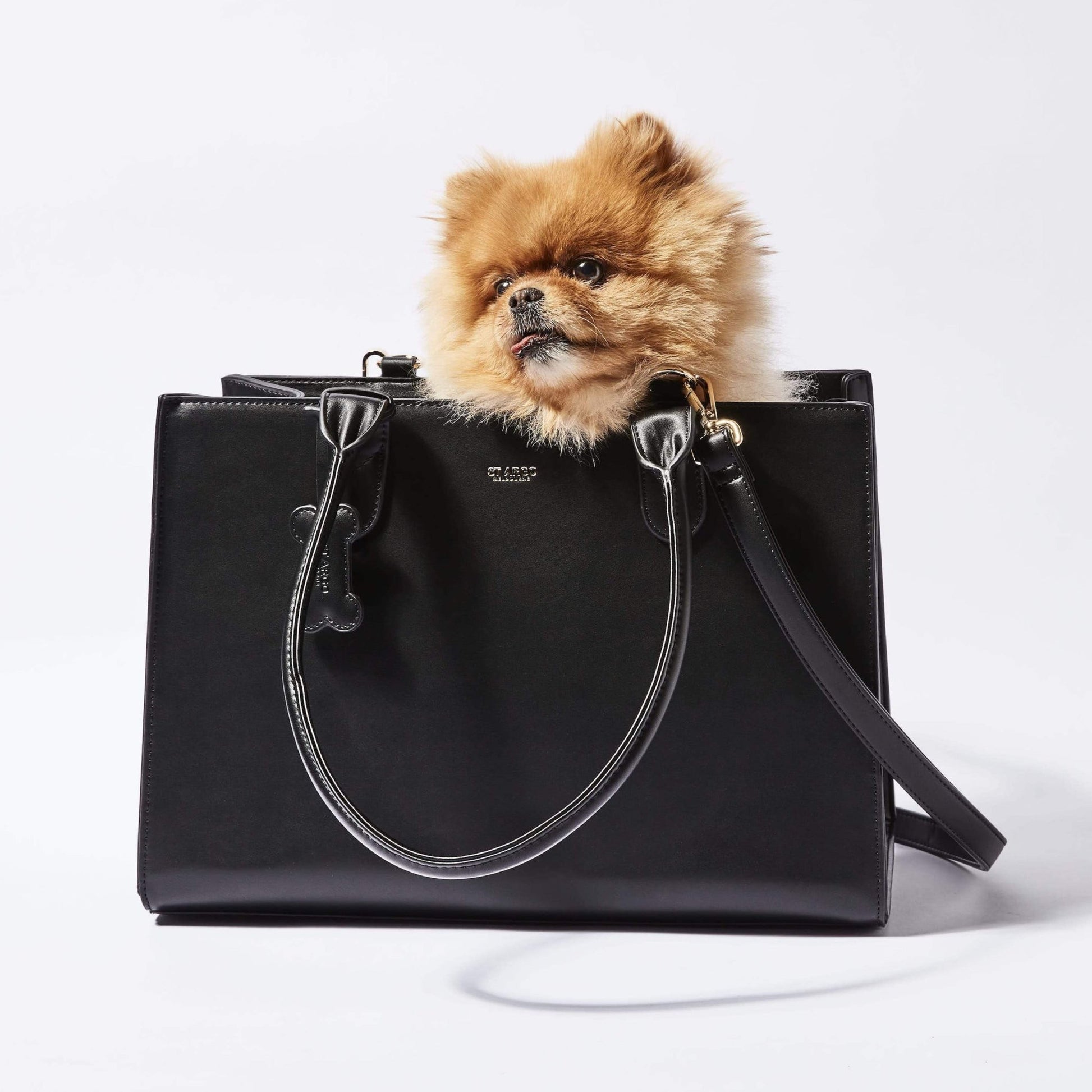 Black LOLA designer dog carrier in vegan leather with pomeranian