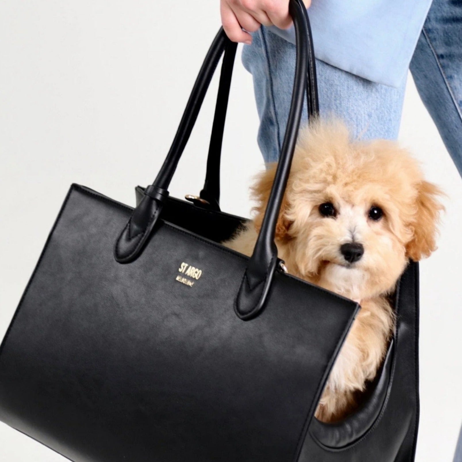 Black LOLA designer dog carrier in vegan leather with poochon puppy