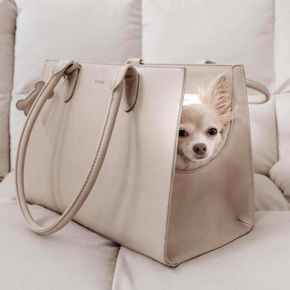 Beige LOLA dog carrier in vegan leather. With a chihuahua