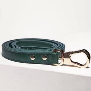 Bottle green designer dog collar by St Argo in vegan leather with gold hardware