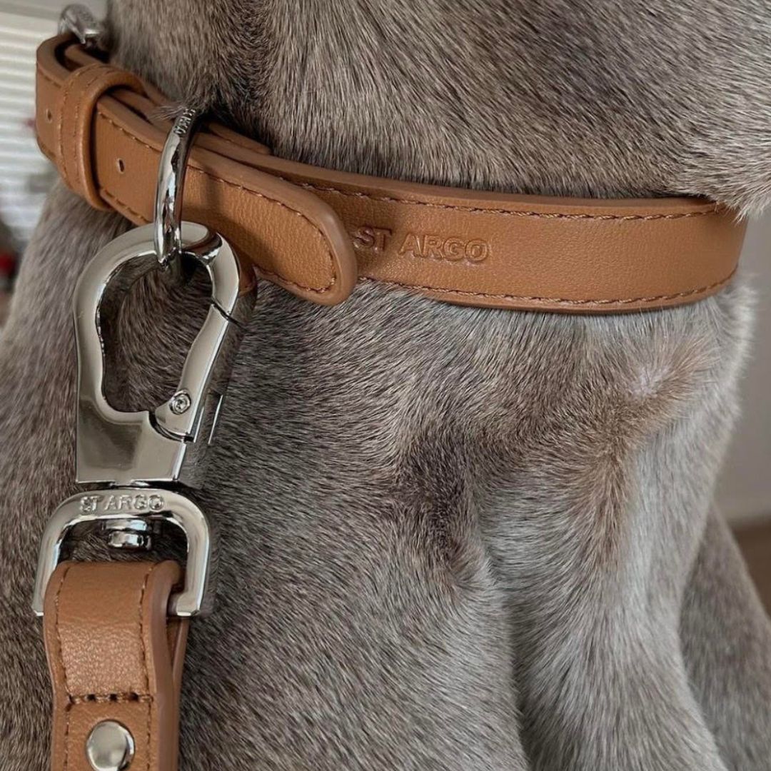 Stylish ST ARGO brown dog leash attached to matching brown vegan leather dog collar
