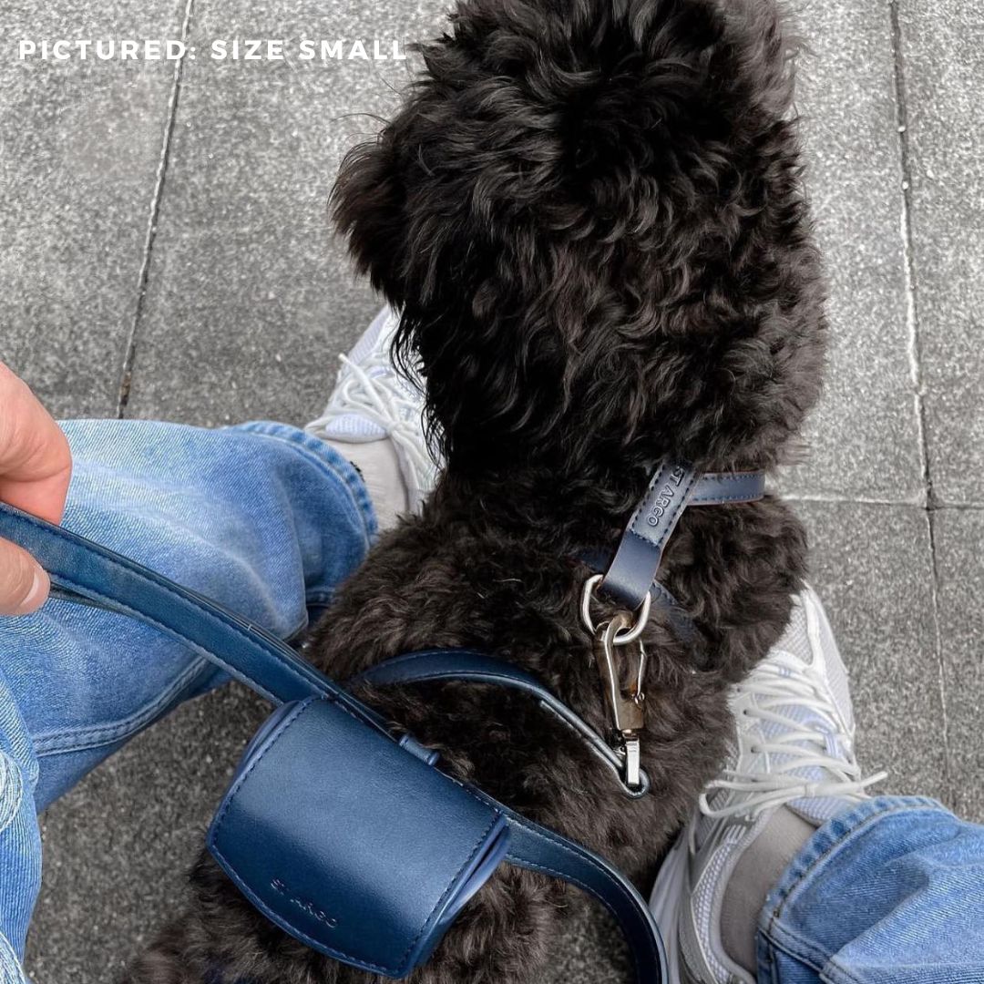 ST ARGO navy dark blue vegan leather harness dog walk set kit on a poodle. Dispenser, dog harness and dog leash included.