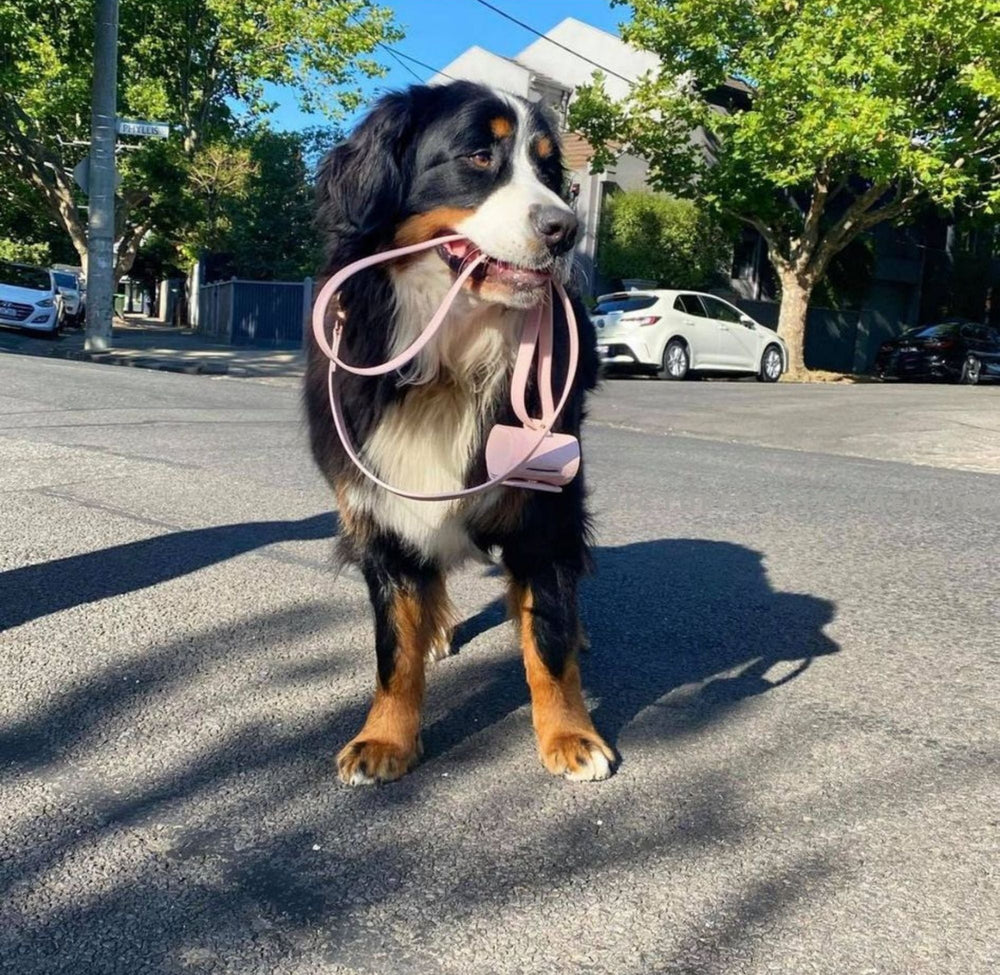 Pale Pink poop bag holder by ST ARGO in vegan leather